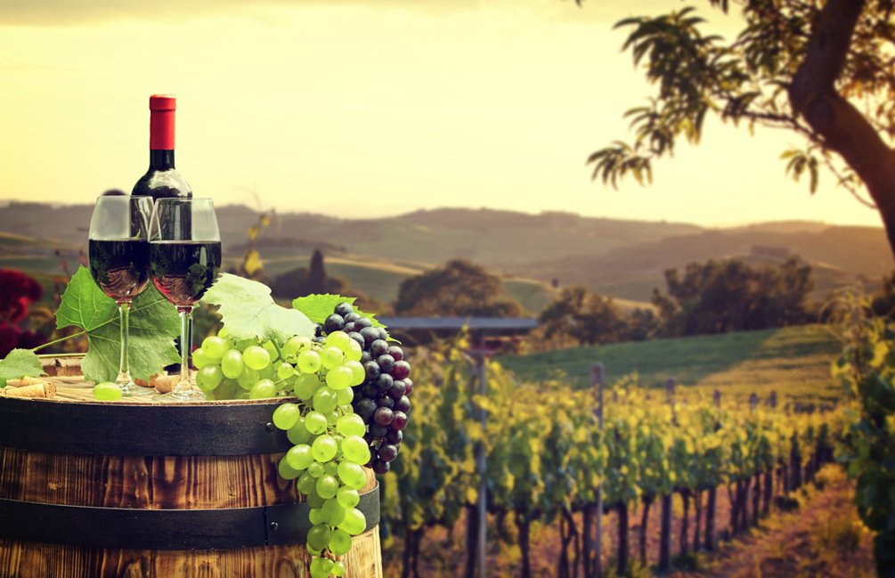 新西蘭葡萄酒介紹 新世界產酒國的紅酒之光