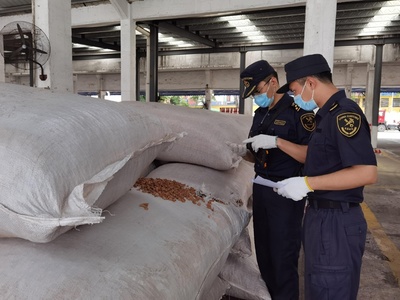 老港海關查獲6.3噸禁入固體廢物，軟木制品制造原料藏隱患
